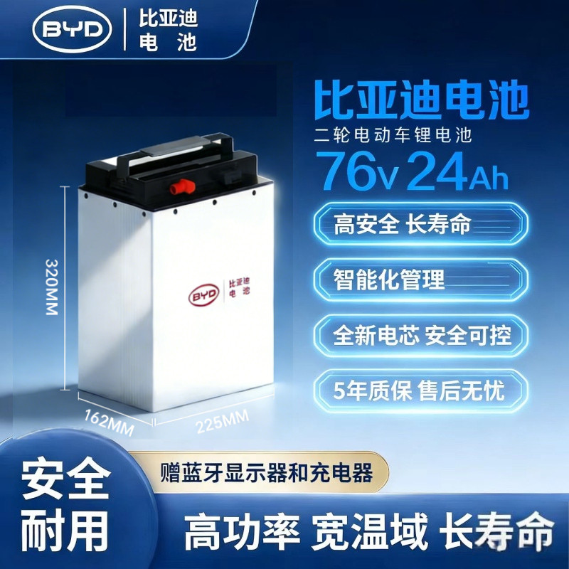 BYD比亚迪两轮电动车锂电池 磷酸铁锂刀片 电瓶车电摩电二三四轮