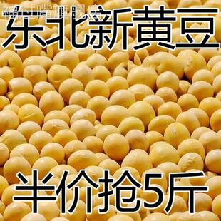 东北新黄豆非转基因大豆打豆浆新鲜发豆芽10g 5斤特价