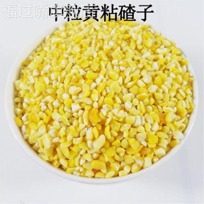 新粮东北粘苞米碴 5斤去皮粘玉米大碴子粘碴子 玉米糁2斤粘玉米碴