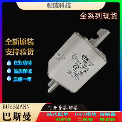 巴斯曼170M5199 170M5200 170M5208 厂家供货 销售  熔断器