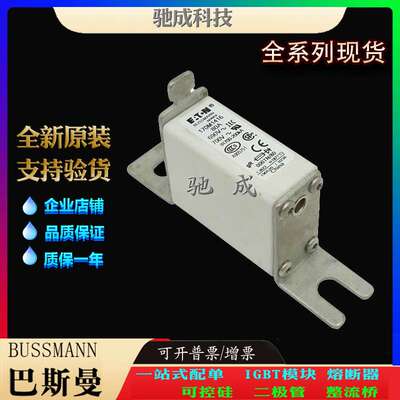 巴斯曼170M1416 170M1417 170M1418 现货供应 零售 低压保险丝