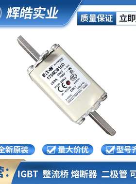 170M6017 170M6018 熔断器 熔断器配件 保险丝 电子元器件