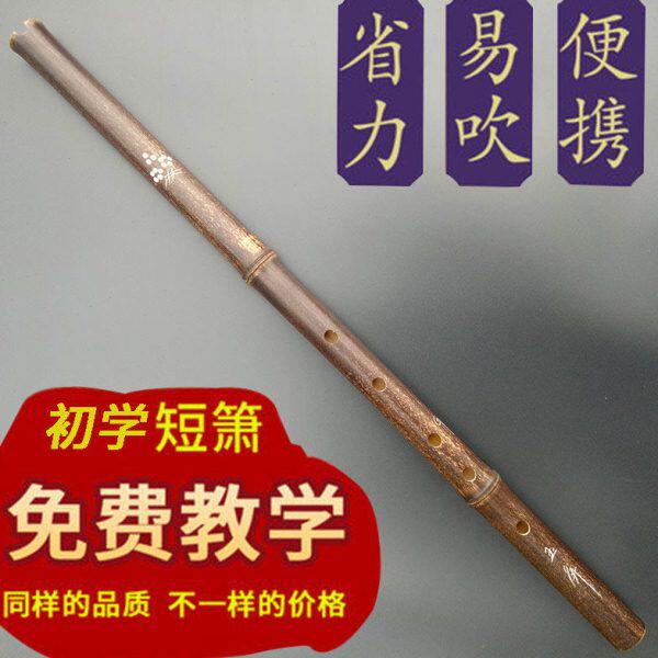 紫竹素屏高档古风初学入门箫乐器古九节长笛八孔专业洞箫玉短萧萧