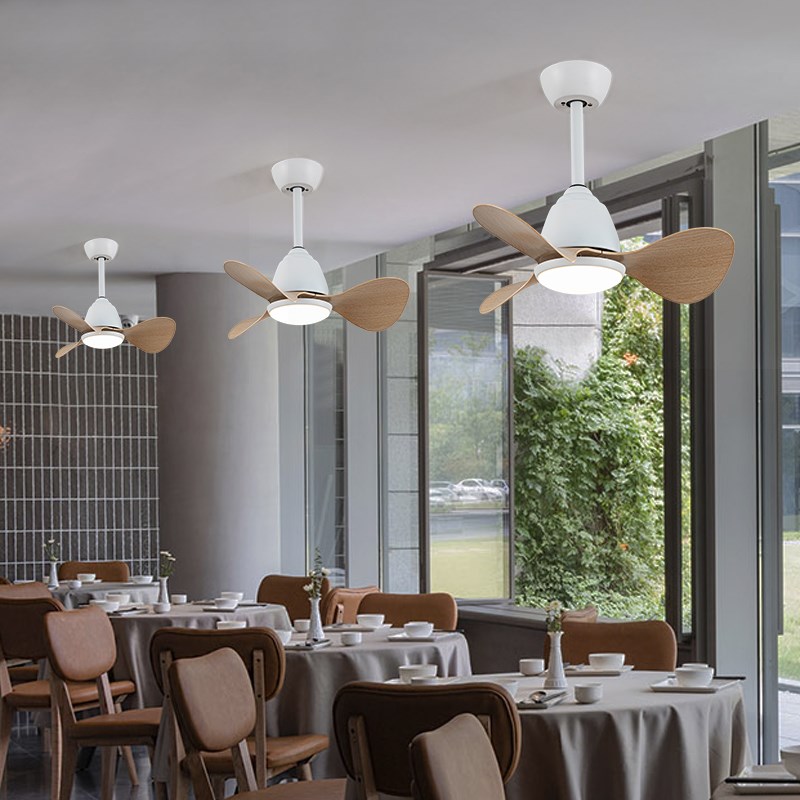 迷你吊扇灯餐厅卧室阳台吊扇风扇C新款家用智能遥控变频静音风扇