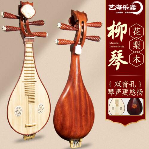 艺海柳琴乐器初学入门专业演出双音孔红木花梨木初学者初级专用琴