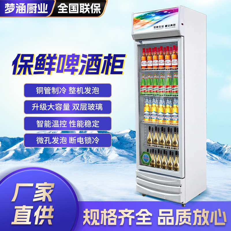 商用啤酒柜单双门保鲜冷藏饮料柜餐厅超市冷饮柜冰柜 酒水展示柜