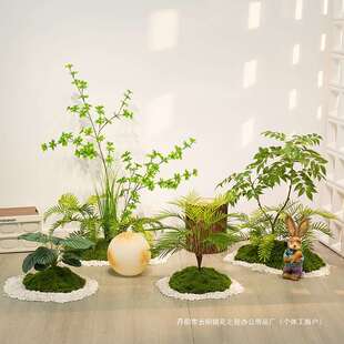 植物苔藓造景旅人蕉散尾葵盆景室内花槽楼梯下橱窗假绿植