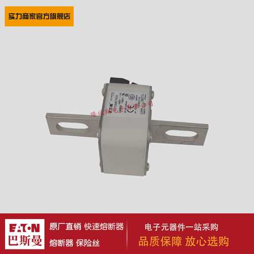 熔断器170M6768 170M6769 170M6770 170M6771 170M3531 170M3532