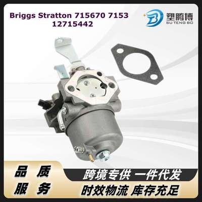 百利通化油器 Briggs & Stratton 715670 715442 715312 185432