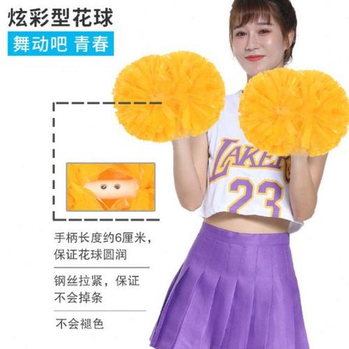 比赛啦啦队花球啦啦操花球啦啦队手拿花小学生拉拉队手花球手摇花