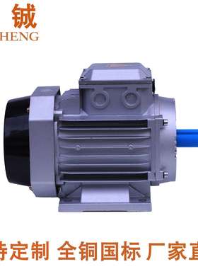 厂家供应三相异步电动机 三相YS7134-550W铝壳铜线电机