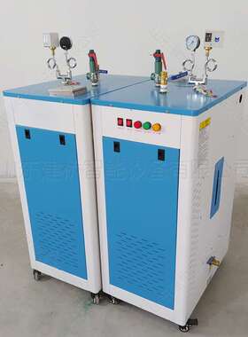 36kw冬季养护蒸汽机 电加热蒸汽发生器 工业小型立式电热水锅炉