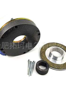 失电电磁制动器Y2EJ200电机制动器抱闸刹车制动刹车DLTZ3-300