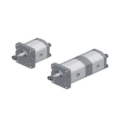 Roquet 1L22DE10R/8262H208LT 齿轮泵 液压油泵