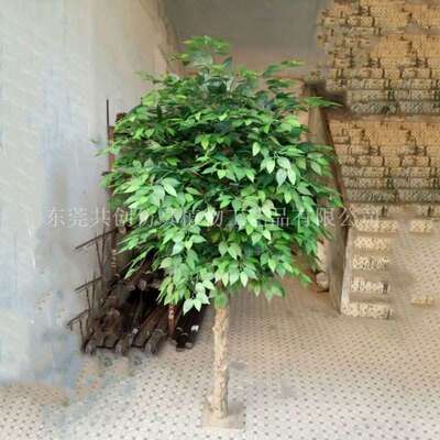 真杆仿真小榕树 娟布叶绿榕 室内外摆放盆景植物小樟树叶屏风隔断