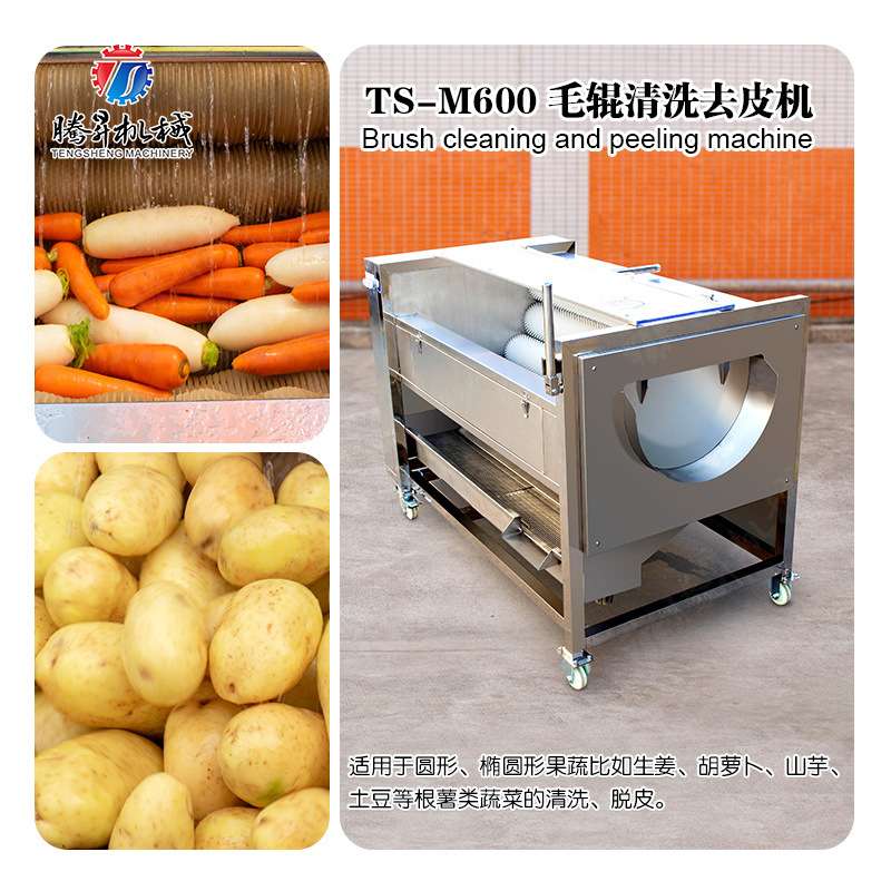 腾昇机械供应不锈钢毛辊白萝卜清洗去皮机 土豆脱皮机
