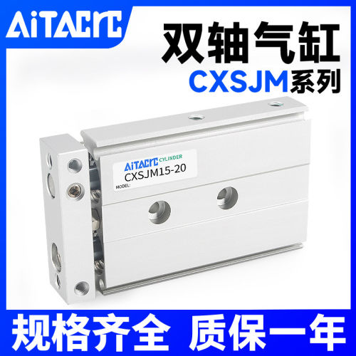 CXSJM系列小型双轴双杆双