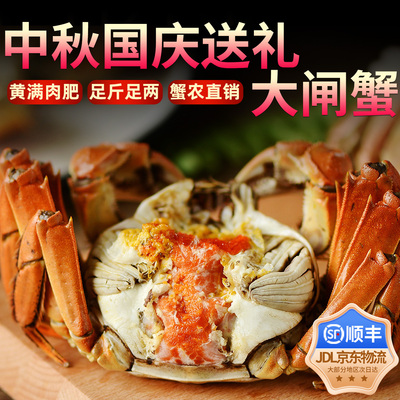 阳澄后荡湖牌大闸蟹全母2.8两12