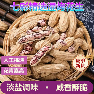 【当季新货】七彩咸干花生湿烤水煮高花青素花生闽西特产送礼佳品