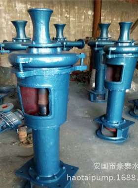 河北立式长杆单级泵家用泵4PNL立式泥浆泵加长排污泵污水污物