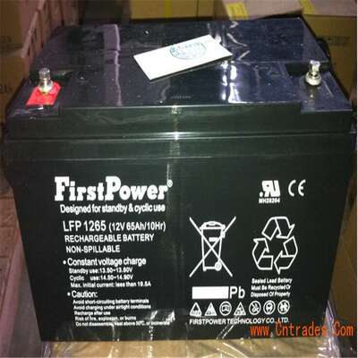 FirstPower(一电)铅酸免维护蓄电池LFP1260C 12V60Ah