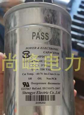 FFC3SY 530-100 L0530F1000UJD1AIL2P 530v 3x100uf SHENGYE 胜业