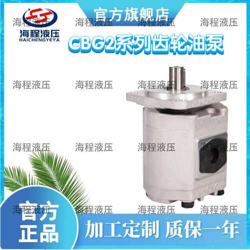 CBG2系列齿轮油泵单联泵C齿轮泵
