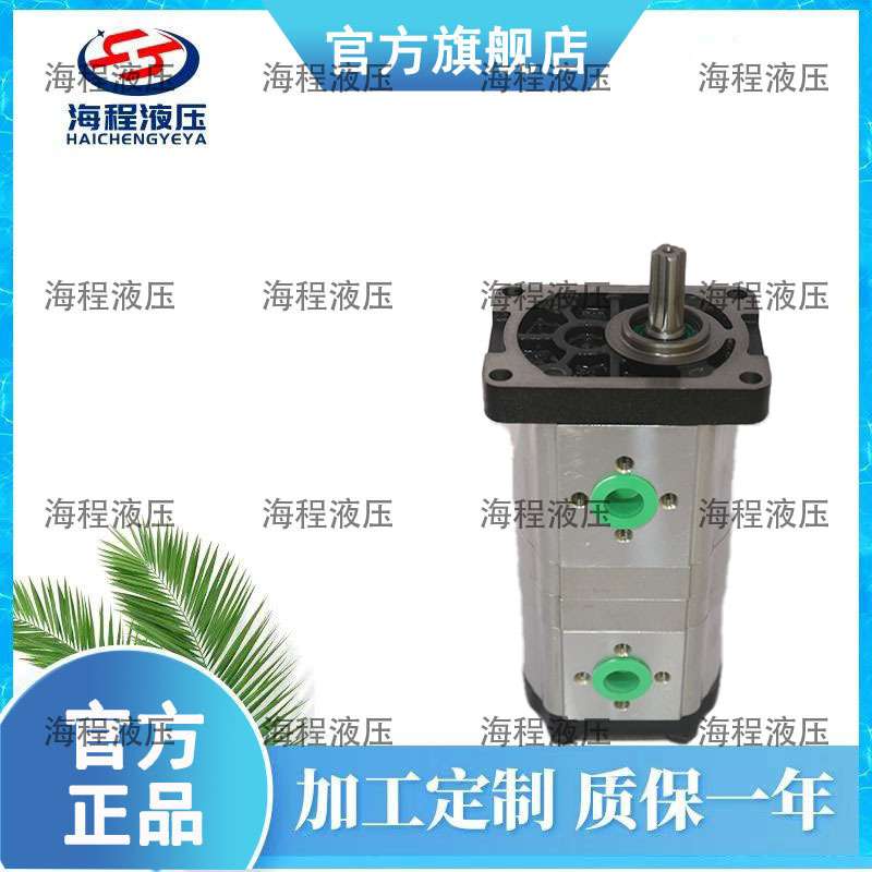 2CBT-F320/F310 东方红1204/1304拖拉机配套花键双联泵