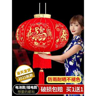 灯笼2025新款蛇年丁财两旺新年春节大门口阳台一对过年红灯笼挂灯