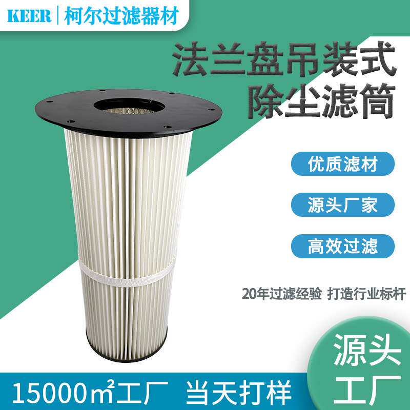 厂家直销 耐酸碱PTFE覆膜工业用法兰盘式吊装除尘滤筒 空气滤芯