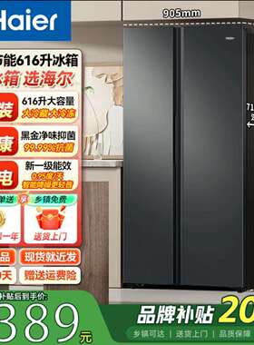 海尓冰箱BCD-616WGHSSEDC9双开门大容量风冷无霜一级能效家用冰箱