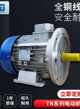 意大利MT Motori Elettrici电动机三相异步铝壳TN系列80B2立式