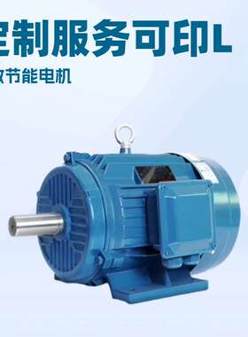 电机厂家直销Y100L2-12  0.55KW三相异步电动机 质保一年 铜心