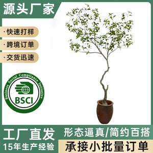 仿真绿植建德商贸服装酒店橱窗花艺造景套装马醉木户外户外装饰