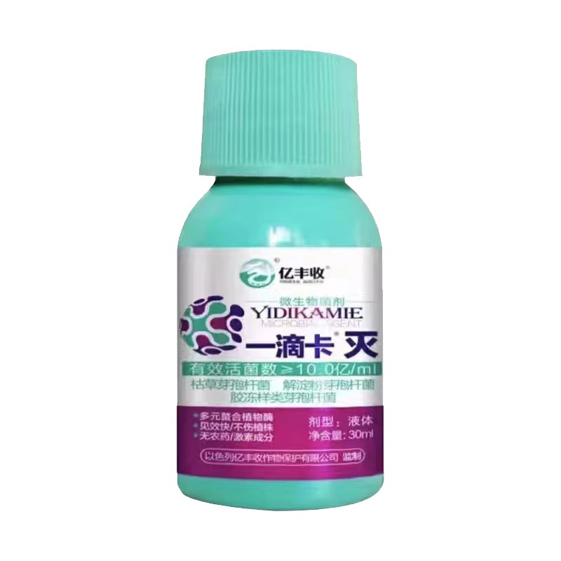 枣树专用小叶病枣疯病全除丛枝扫帚火龙病毒病杀菌剂防缩果裂果肥