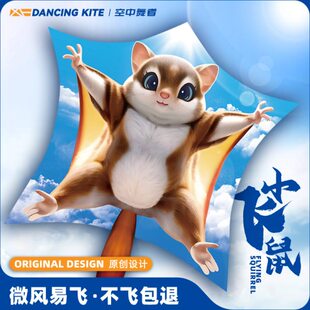 风线专用手持卡通儿童型易小飞鼠新款小盘大人微轮风筝2024飞网红