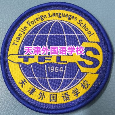 章中校徽市南青开大校平小学红天津津南北辰武清区和桥东丽西实验
