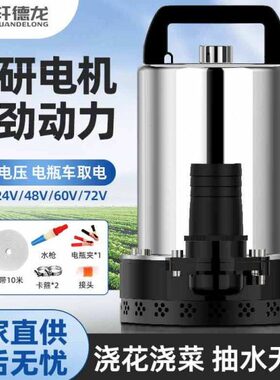 家用电动48V农田灌溉伏V712V24V2瓶小型车60抽水机直流潜水泵水泵