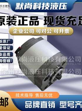 淮安长江齿轮泵RGP-F106/F111/F113/F116/F201/F202/F203精装油泵