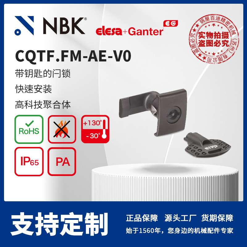 NBK ELESA CQTF.FM-AE-V0 带钥匙的闩锁 高科技聚合体 机械配件厂
