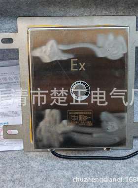 不锈钢防爆溜槽堵塞开关BXYLC堆煤开关BDS溜槽堵塞检测器