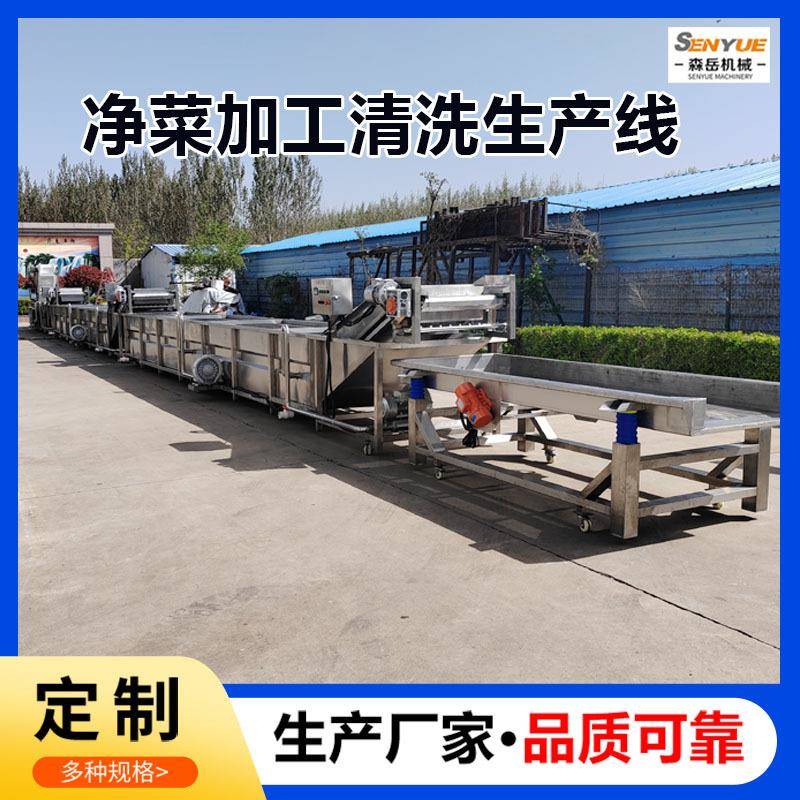黄瓜片清洗脱盐机葡萄樱桃气泡翻浪清洗线东北酸菜脱盐清洗机