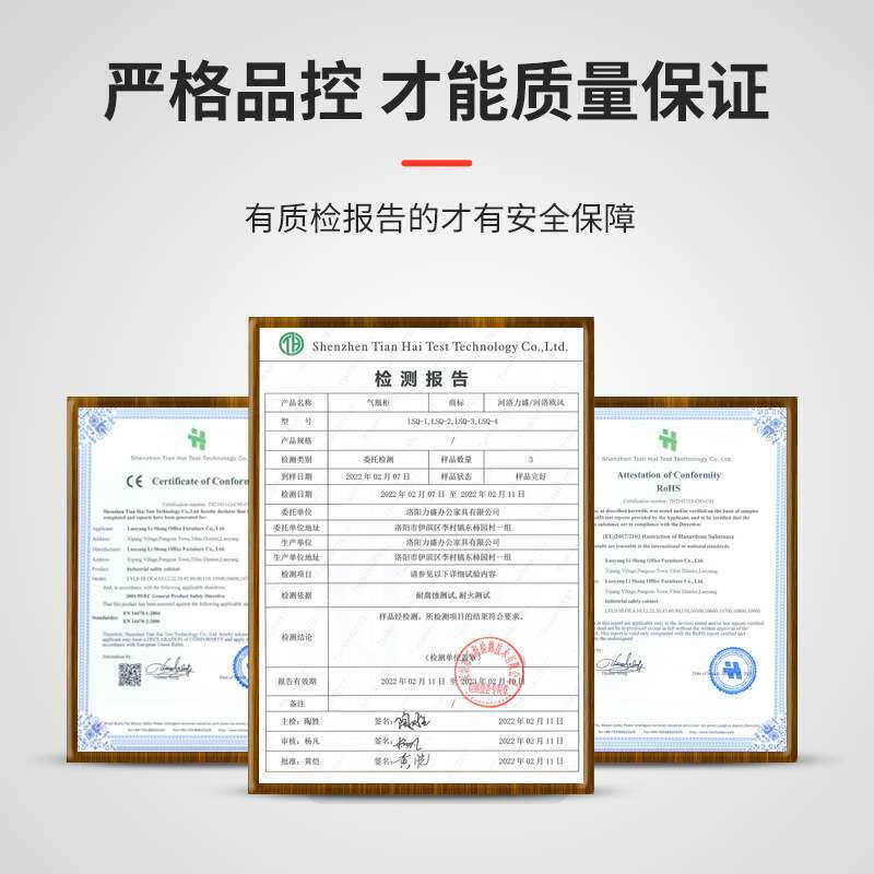 河洛力盛单瓶双瓶危险气体储存柜全钢气瓶柜报警钢制现代简约收纳