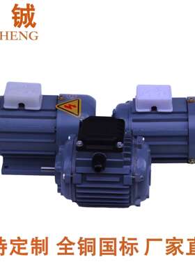 厂家 JW5022三相异步电机90W380V微型铝壳铜芯电机2极纺织电机