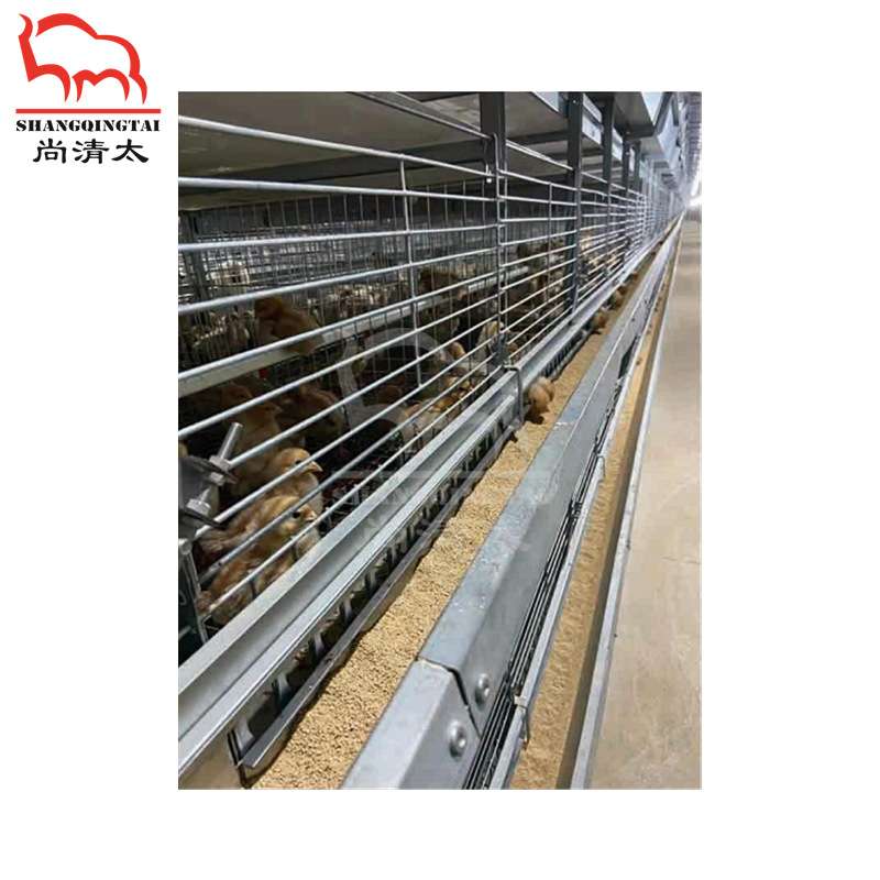 H型蛋鸡全自动笼养系统 蛋鸡饲养笼 养鸡笼子 畜牧养殖设备