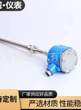 贸诚仪表WRN2-631 WRN-631 K型热电偶 0-700℃ M33X2