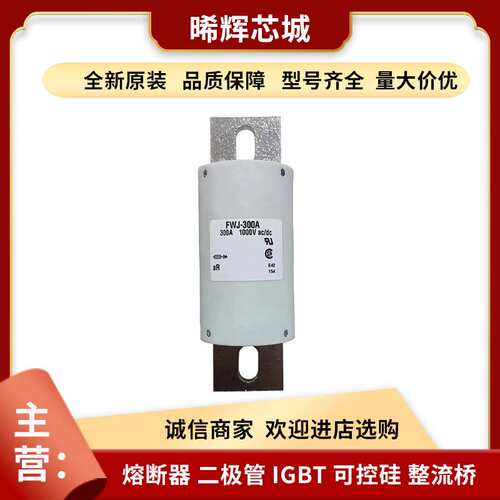 FWJ-300A FWJ-400A 子元器件 库存充足直流快速熔断器现货