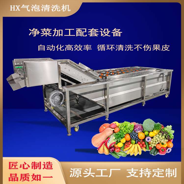 大型全自动果蔬气泡清洗机洗菜机商用气泡水果蔬菜去农残流水线