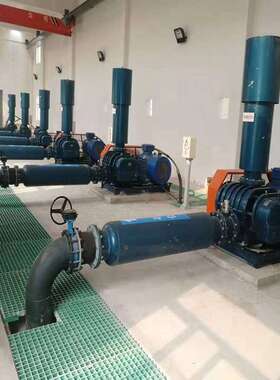 罗茨鼓风机SR-系列污水处理水产养殖气力输送低噪音罗茨鼓风机