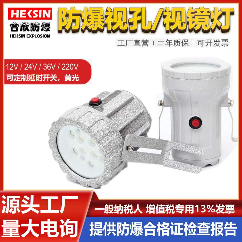 LED视孔灯5W20W防爆内视灯AC220v24v36V化学反应釜视镜灯三防灯